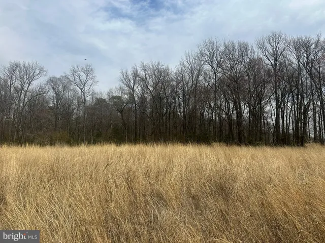 $750,000 | 0 Cool Spring Road, Marydel, MD 21649