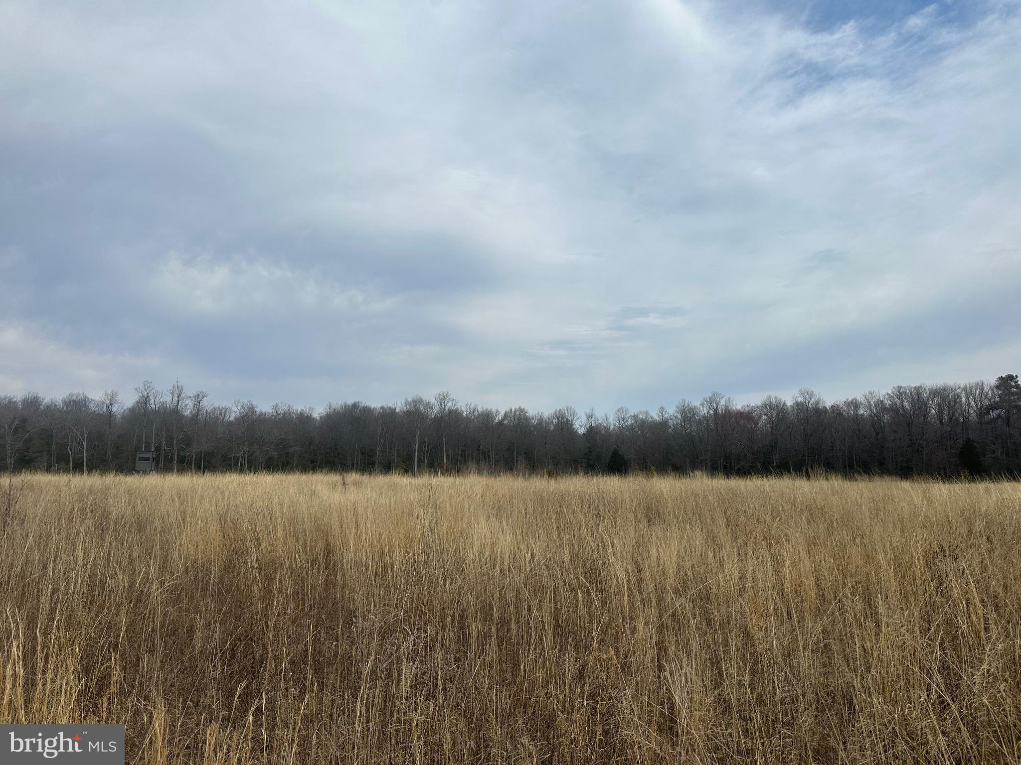 0 Cool Spring Road Marydel, MD 21649 - Photo 44 of 49