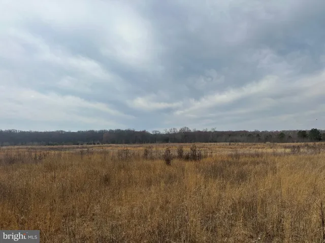 $750,000 | 0 Cool Spring Road, Marydel, MD 21649