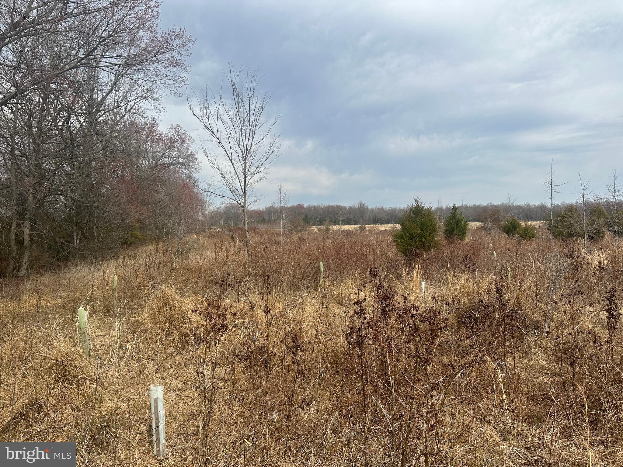 0 Cool Spring Road Marydel, MD 21649 - Photo 46 of 49