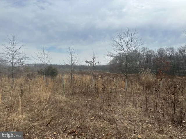 $750,000 | 0 Cool Spring Road, Marydel, MD 21649