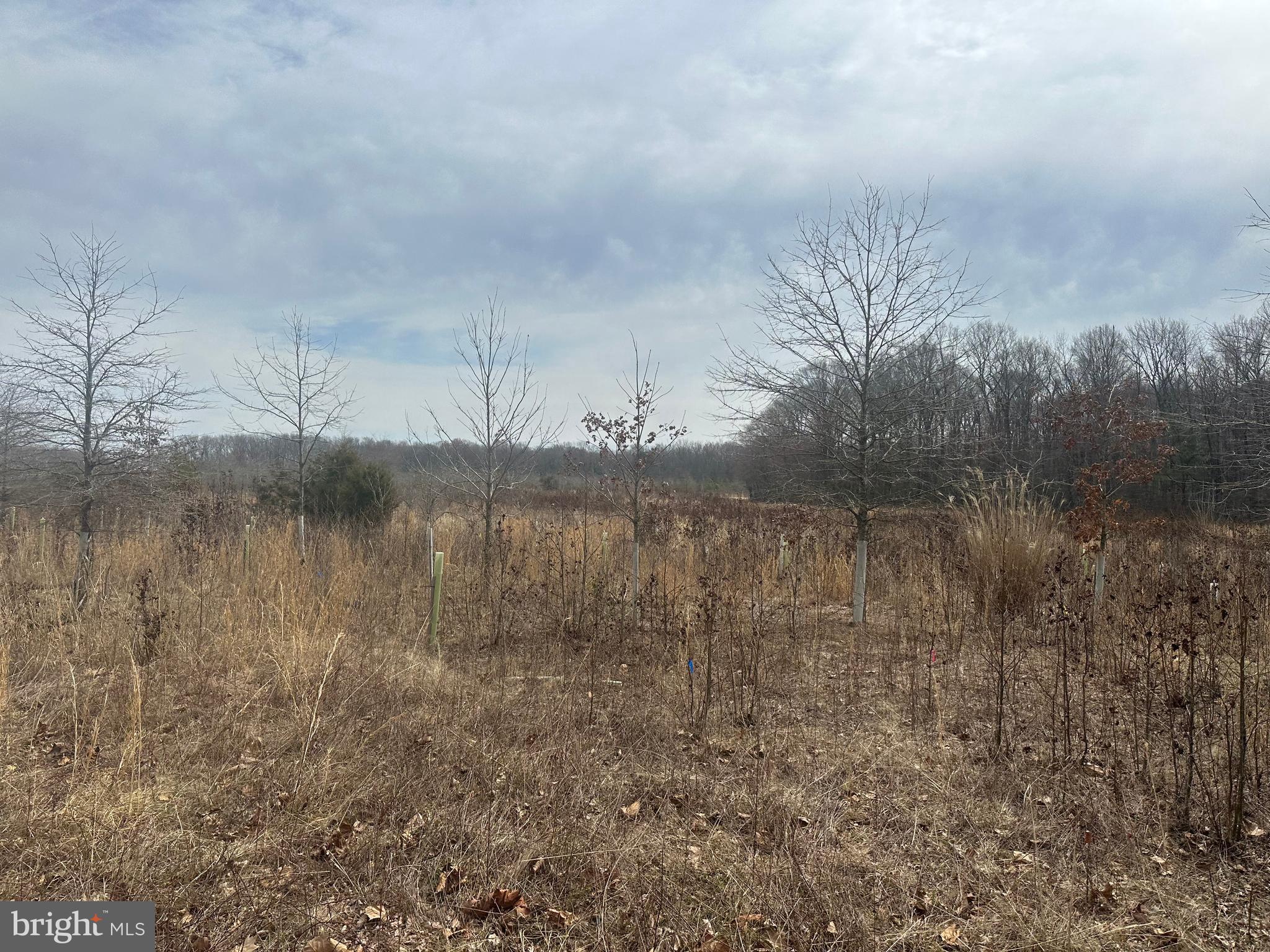 0 Cool Spring Road Marydel, MD 21649 - Photo 47 of 49