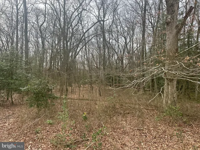 $750,000 | 0 Cool Spring Road, Marydel, MD 21649