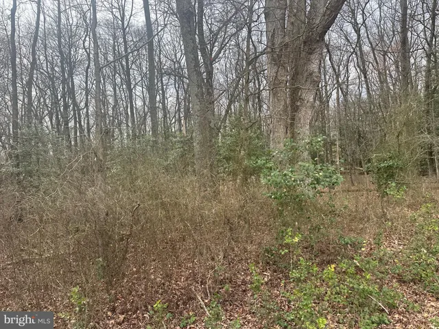 $750,000 | 0 Cool Spring Road, Marydel, MD 21649