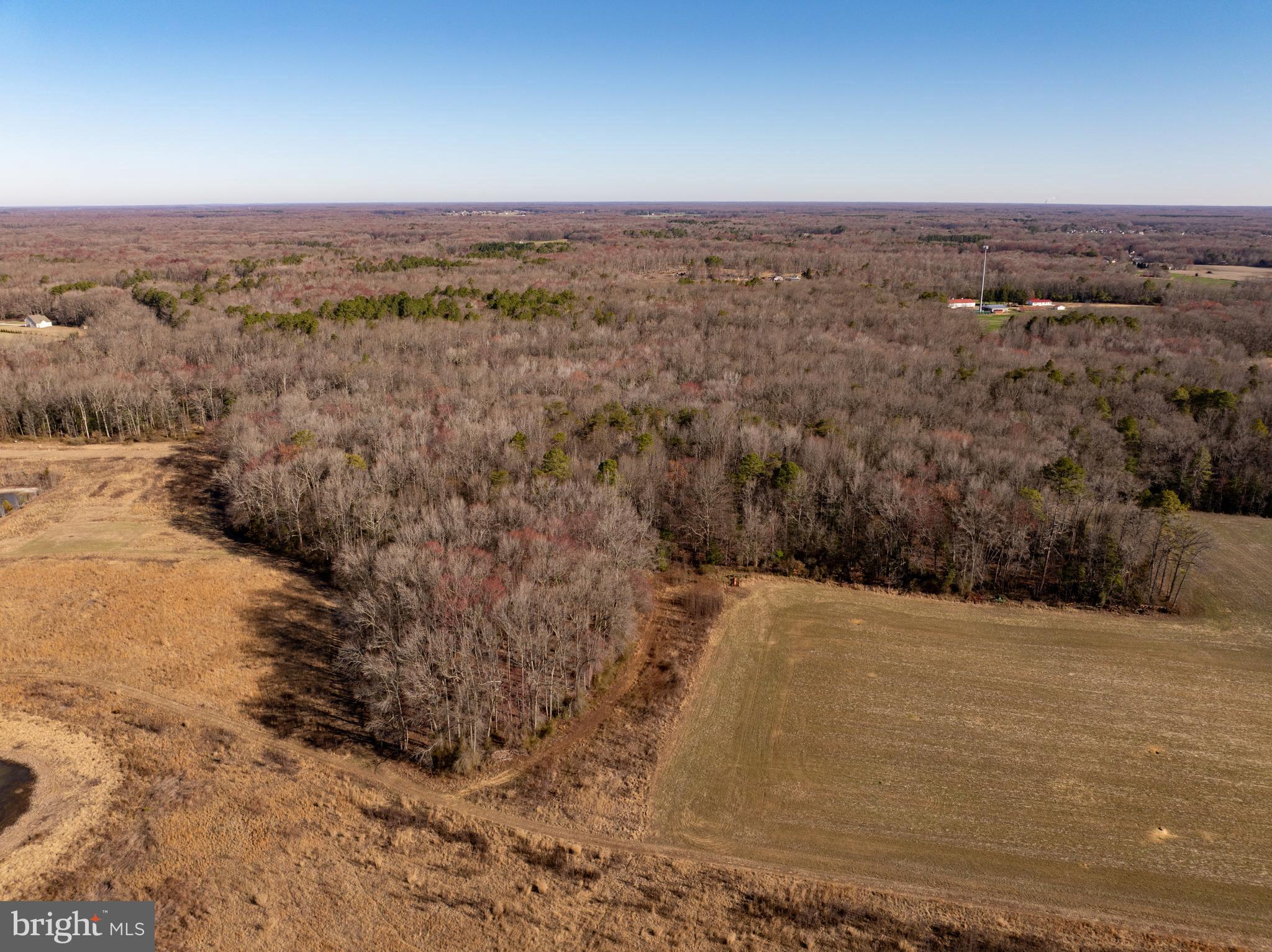 0 Cool Spring Road Marydel, MD 21649 - Photo 6 of 49