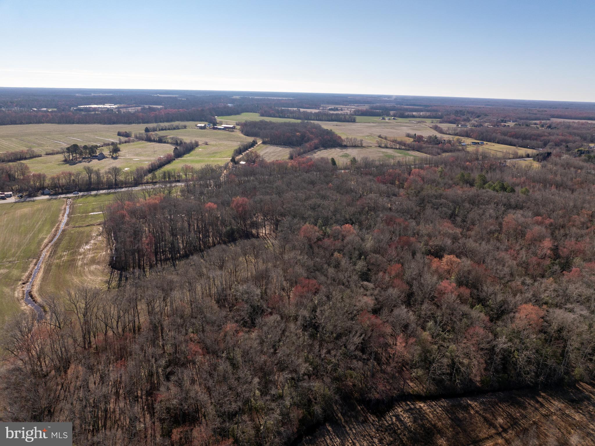 0 Cool Spring Road Marydel, MD 21649 - Photo 7 of 49