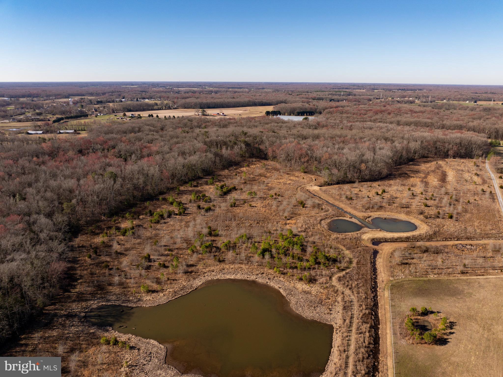 0 Cool Spring Road Marydel, MD 21649 - Photo 9 of 49