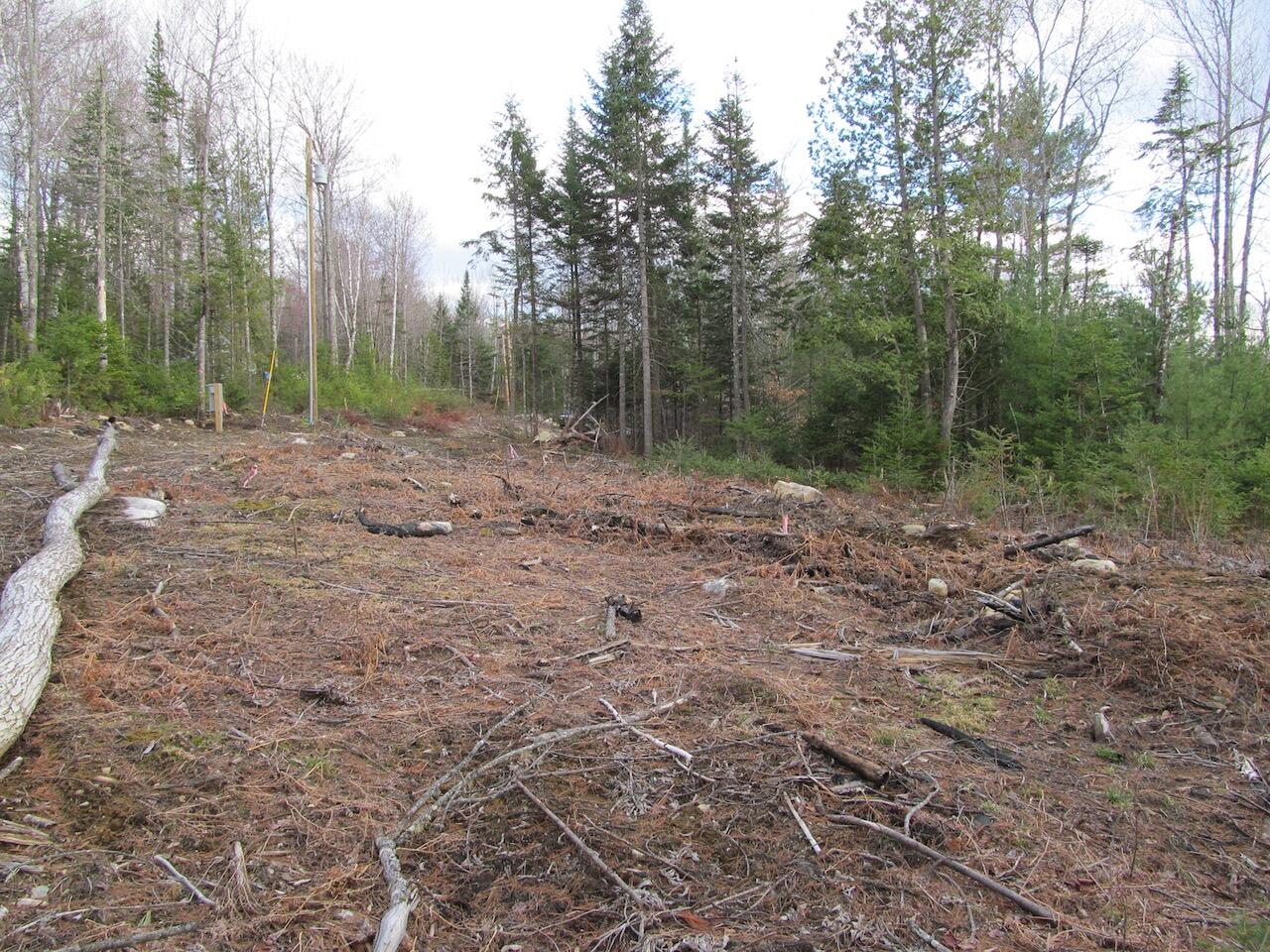 923 Center Hill Road Weld, ME 04285 - Photo 11 of 34