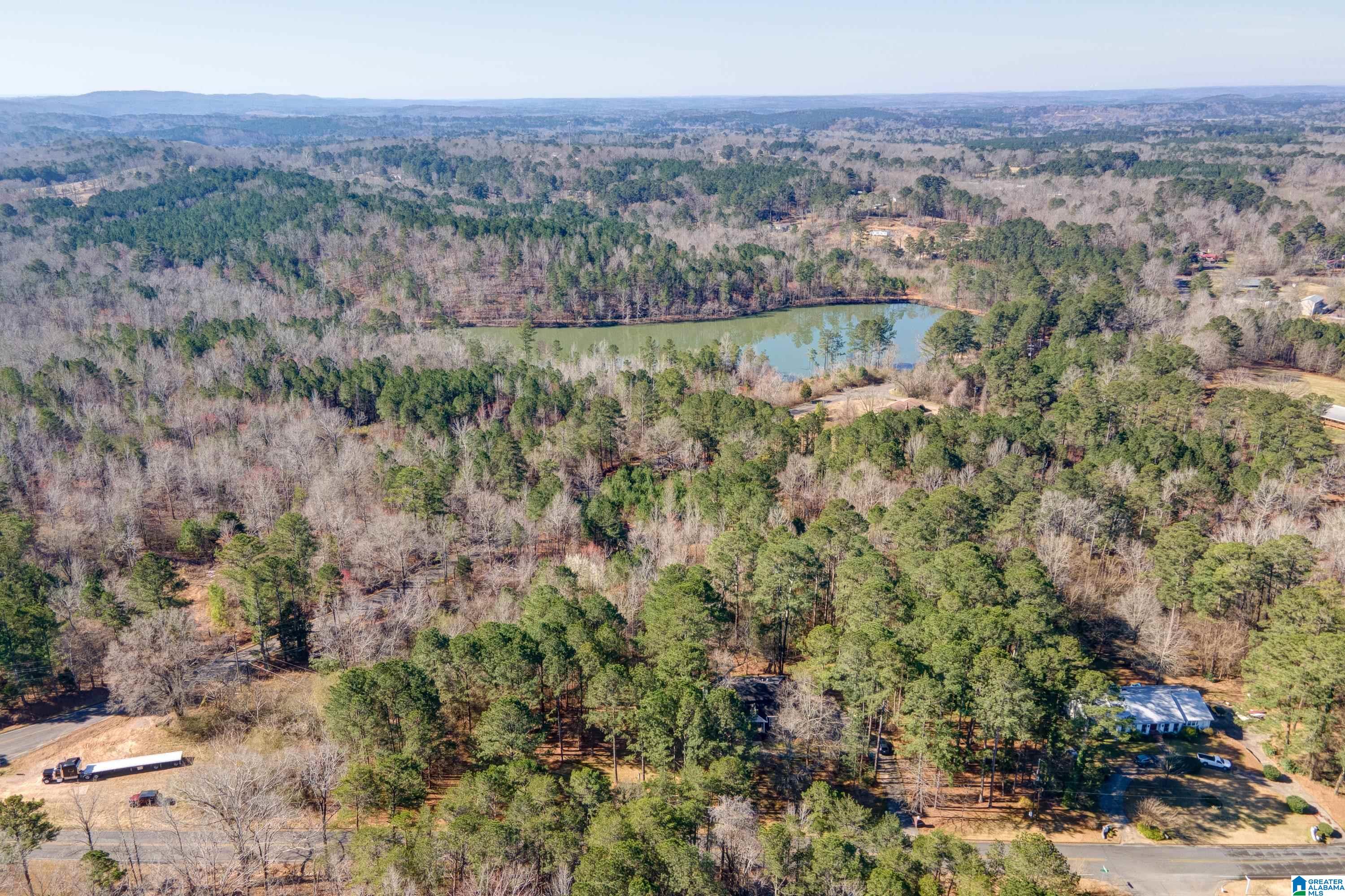 8970 Marsh Mountain Road Pinson, AL 35126 - Photo 39 of 48