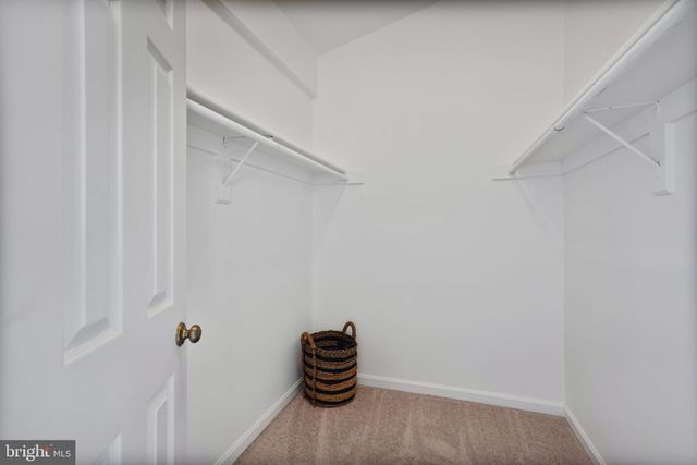 a room with a potted plant