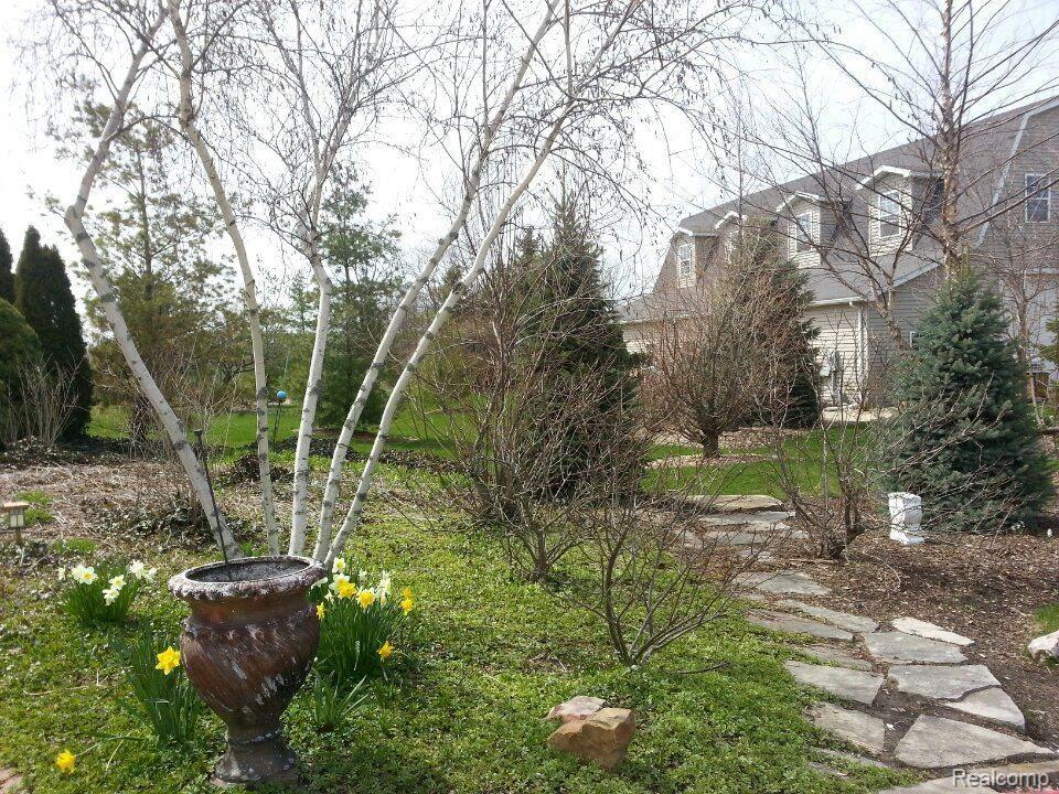 11453 Sweitzer Road Carleton, MI 48117 - Photo 21 of 43 path to barn.jpg