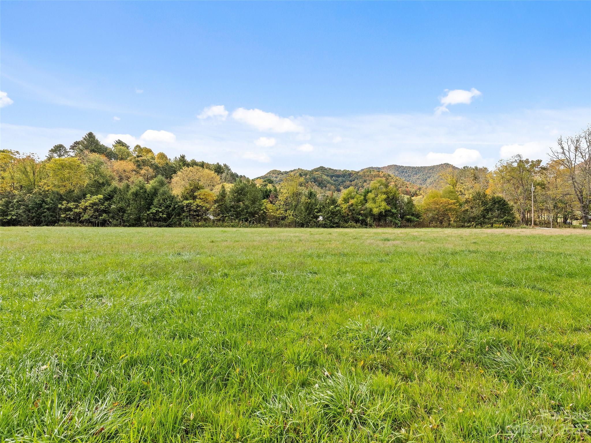 0 Carver Cove Road Canton, NC 28716 - Photo 11 of 11