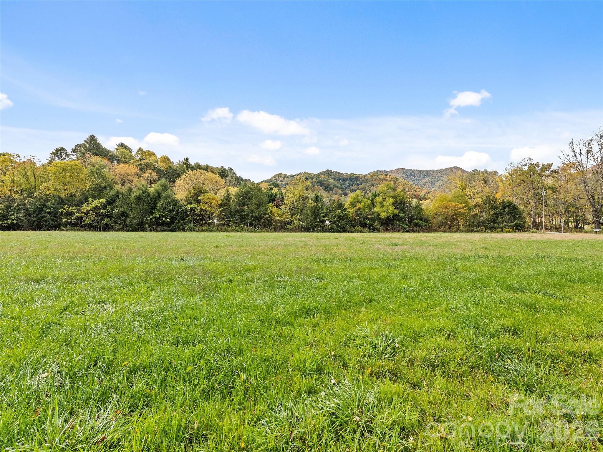 0 Carver Cove Road Canton, NC 28716 - Photo 11 of 11 a view of a field with an ocean