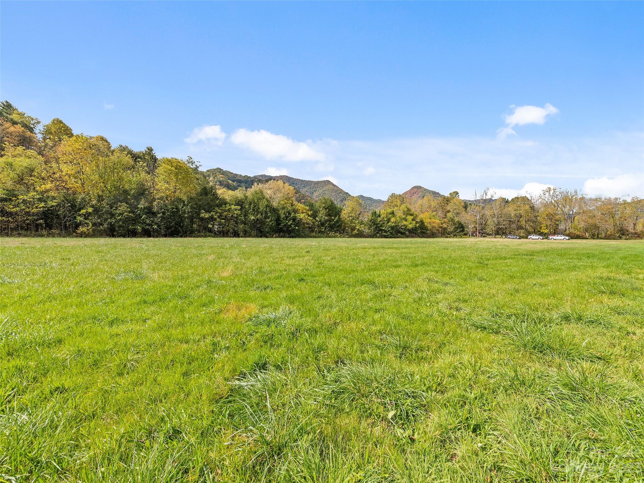 0 Carver Cove Road Canton, NC 28716 - Photo 2 of 11