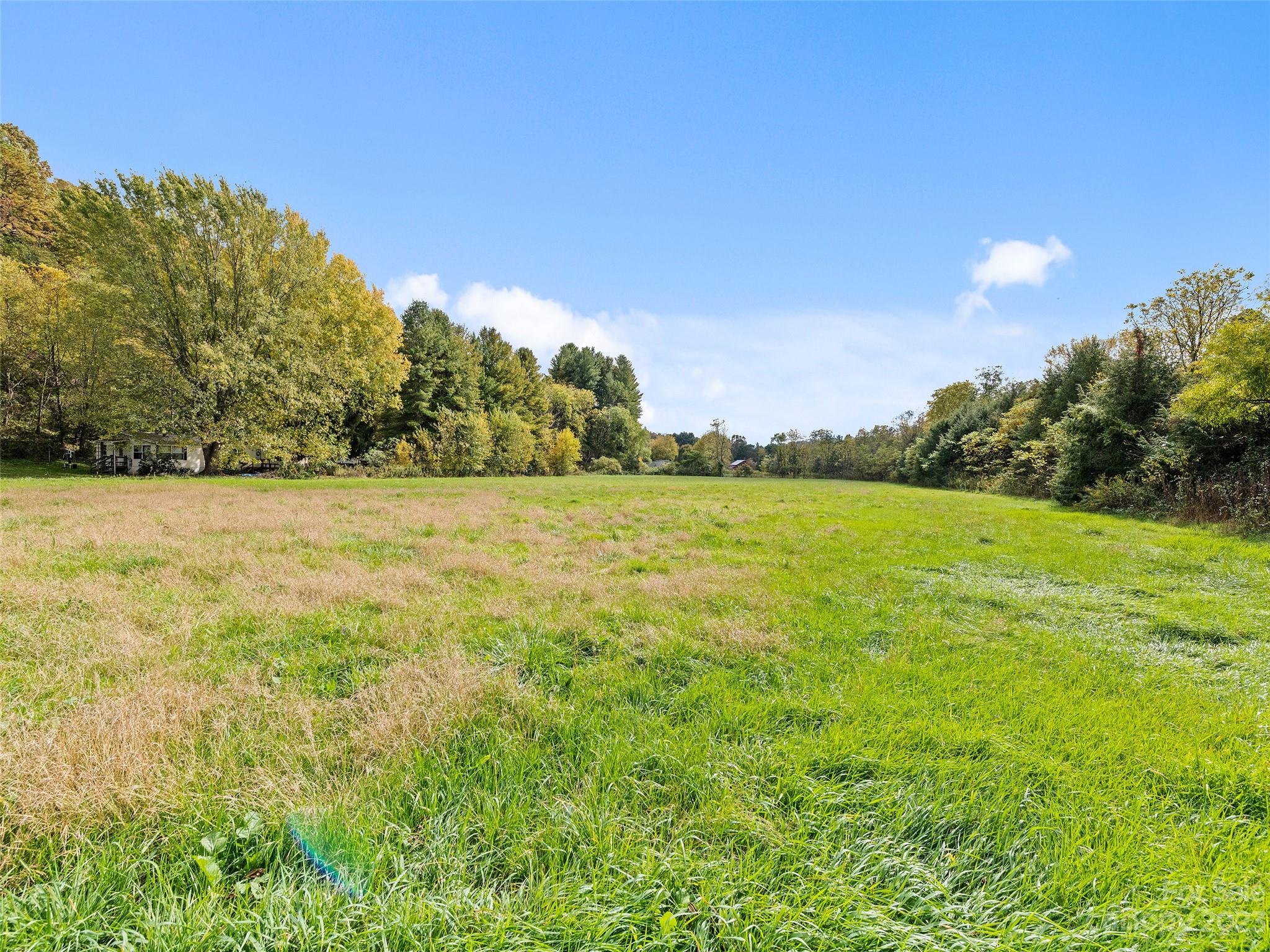 0 Carver Cove Road Canton, NC 28716 - Photo 9 of 11