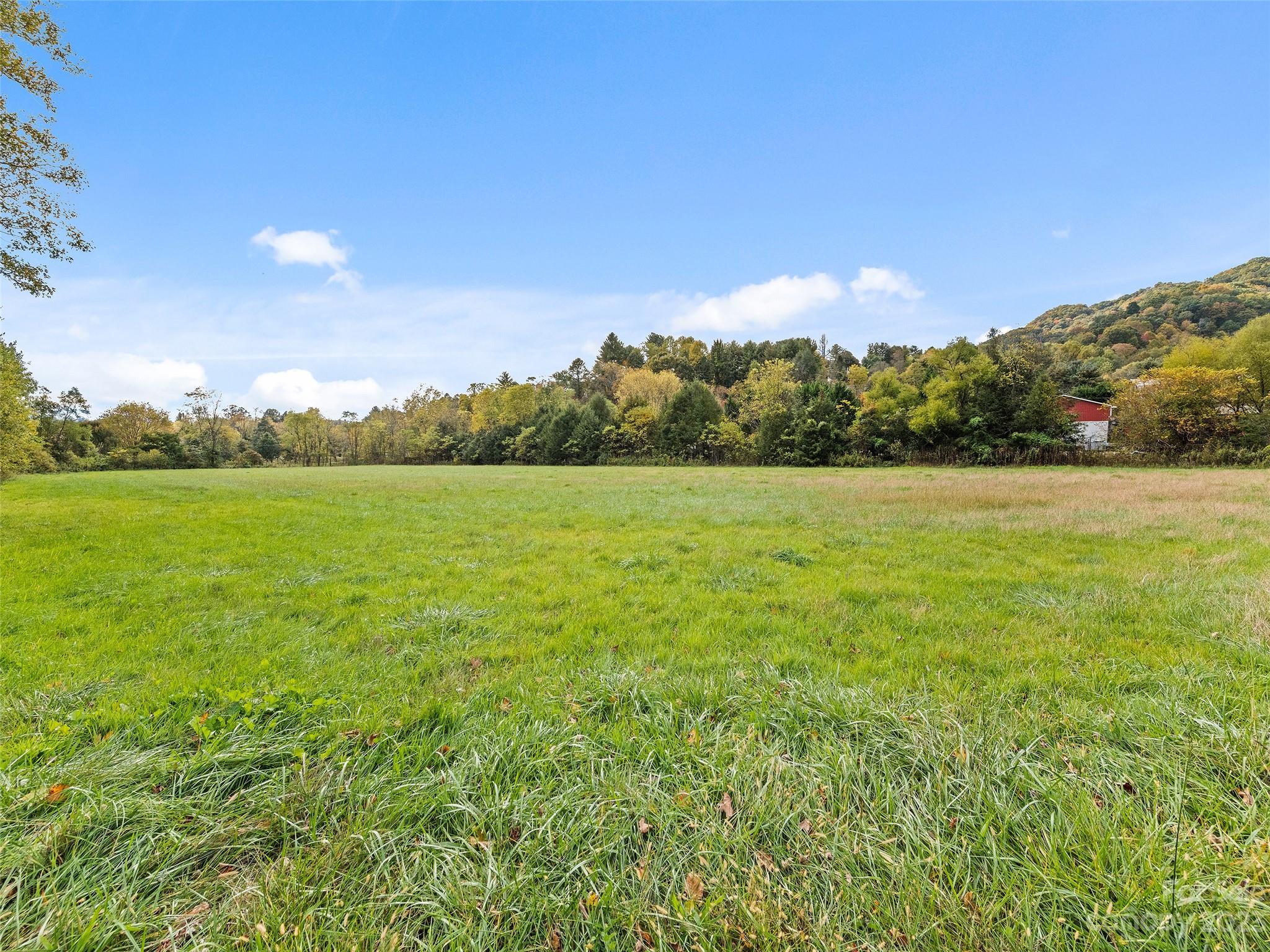 0 Carver Cove Road Canton, NC 28716 - Photo 10 of 11