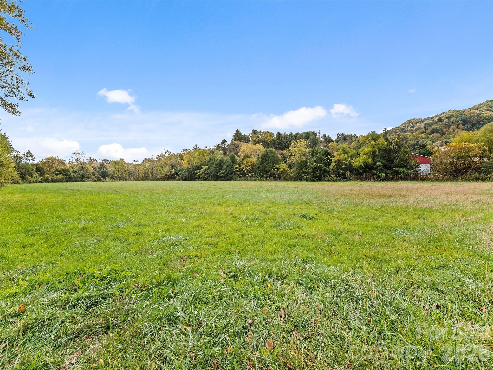 0 Carver Cove Road Canton, NC 28716 - Photo 10 of 11 a view of yard with ocean view