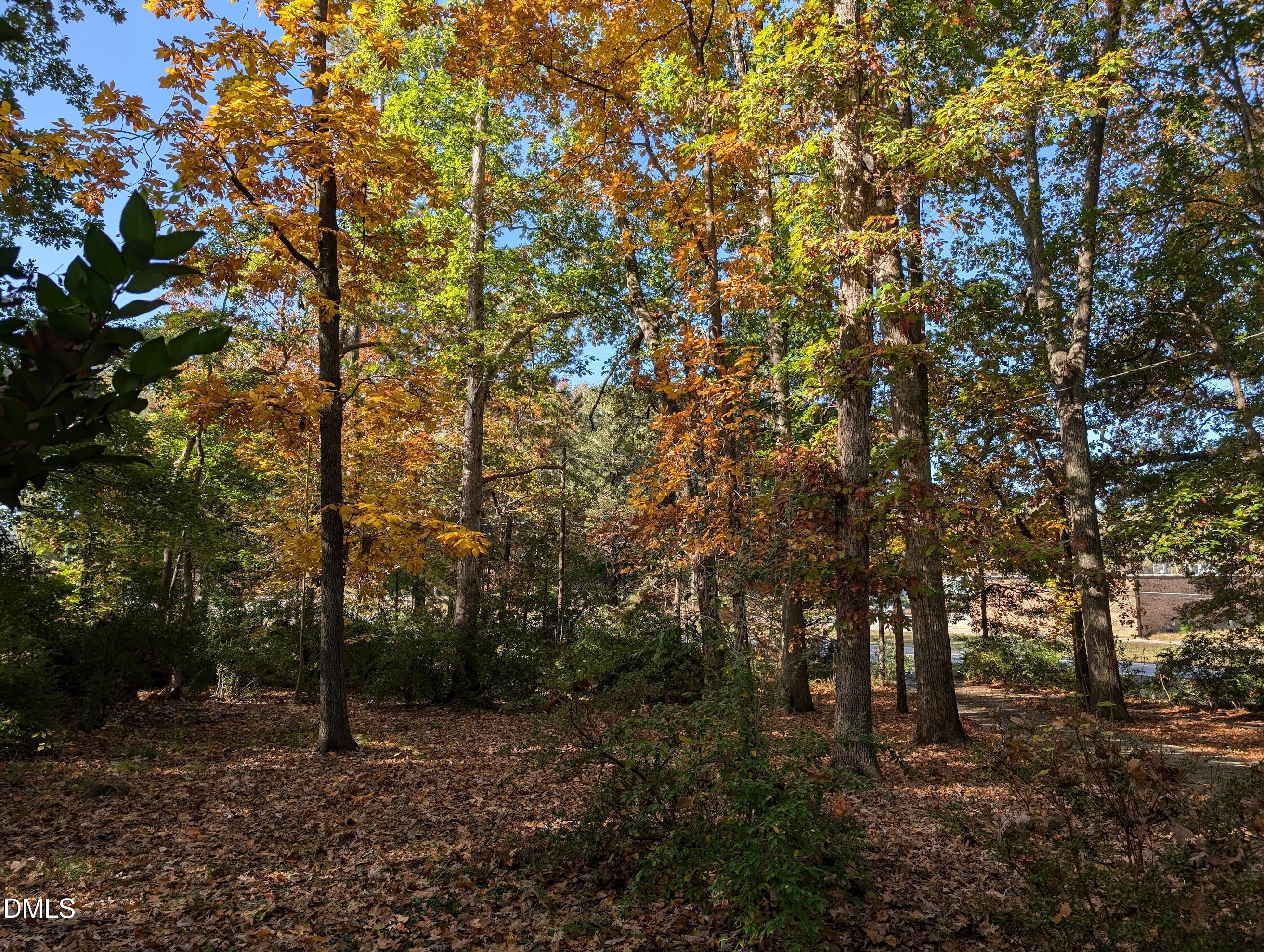 3043 Creech Road Garner, NC 27529 - Photo 37 of 38 a big yard with lots of green space and trees