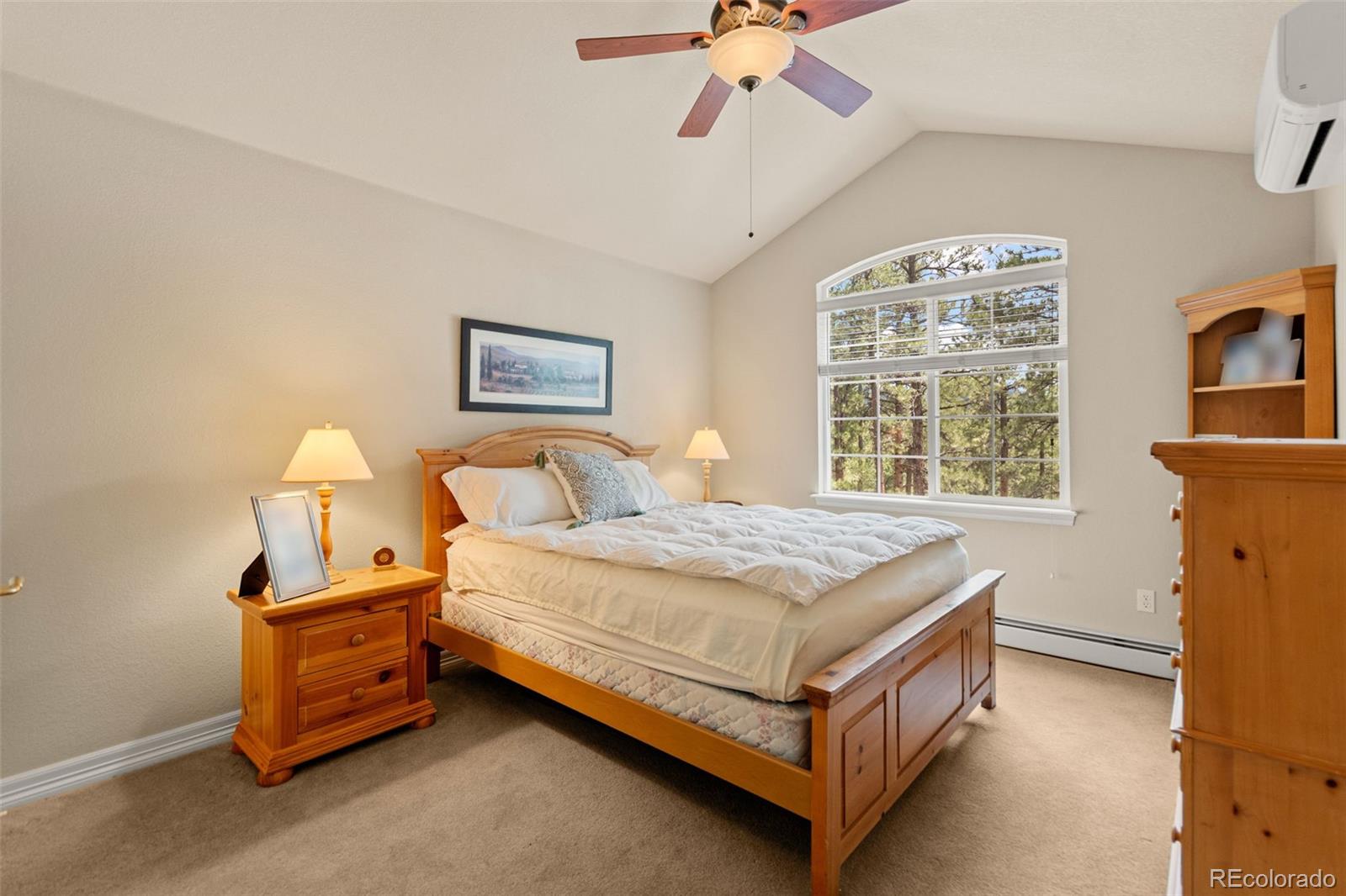 1767 Cinnamon Road Larkspur, CO 80118 - Photo 33 of 50 Gallery Image 33