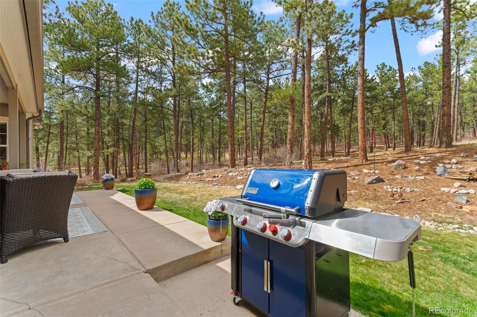 1767 Cinnamon Road Larkspur, CO 80118 - Photo 46 of 50 Gallery Image 46