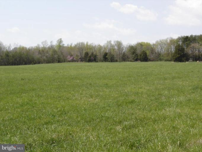 14515 Raccoon Ford Road Culpeper, VA 22701 - Photo 13 of 22 Unique #2