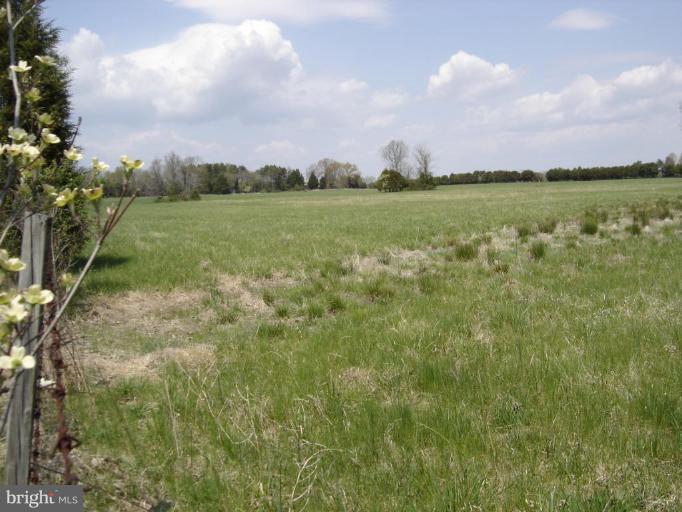 14515 Raccoon Ford Road Culpeper, VA 22701 - Photo 14 of 22 THE HAY PASTURE 30+ acres