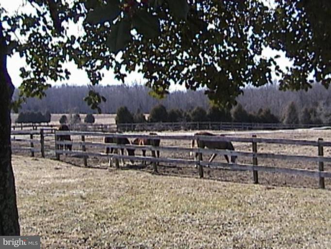14515 Raccoon Ford Road Culpeper, VA 22701 - Photo 4 of 22 ALL PASTURES & PADDOCKS IN GREAT SHAPE FOR BUYERS!