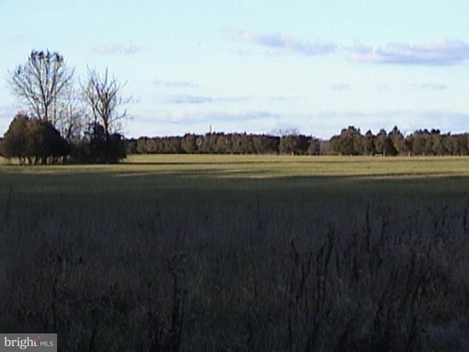 14515 Raccoon Ford Road Culpeper, VA 22701 - Photo 7 of 22 30-ACRE HAY FIELD