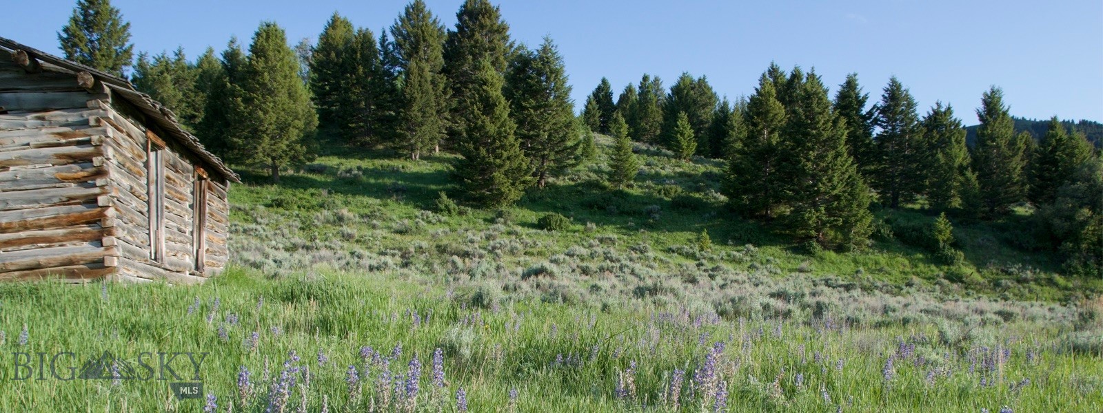 Tbd South Tbd S Valley Road Lima, MT 59739 - Photo 21 of 36 Gallery Image 21