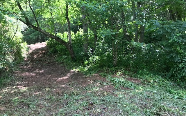 12180 Beaver Dam Road Murphy, NC 28906 - Photo 11 of 24 Additional View