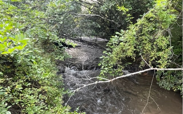 12180 Beaver Dam Road Murphy, NC 28906 - Photo 12 of 24 Additional View