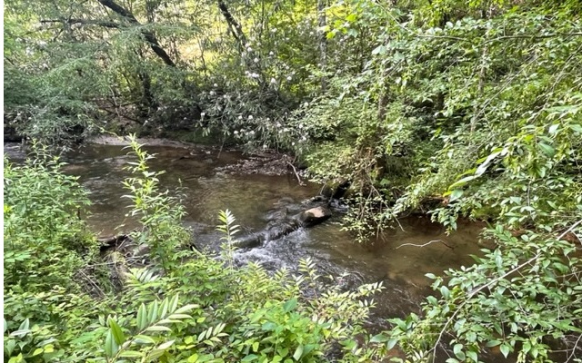 12180 Beaver Dam Road Murphy, NC 28906 - Photo 14 of 24 Additional View