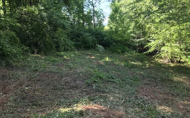 12180 Beaver Dam Road Murphy, NC 28906 - Photo 15 of 24 Additional View