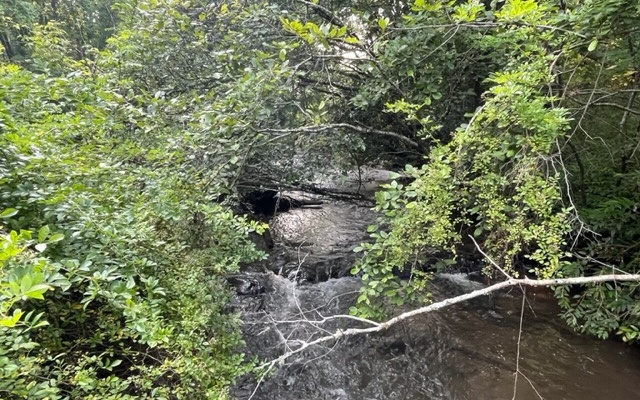 12180 Beaver Dam Road Murphy, NC 28906 - Photo 16 of 24 Additional View