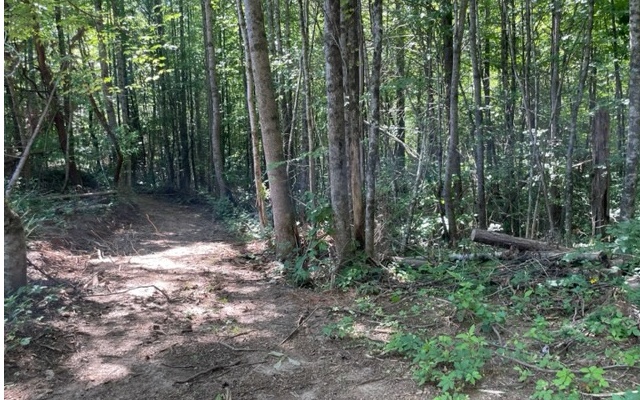 12180 Beaver Dam Road Murphy, NC 28906 - Photo 19 of 24 Additional View