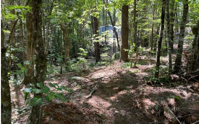 12180 Beaver Dam Road Murphy, NC 28906 - Photo 20 of 24 Additional View