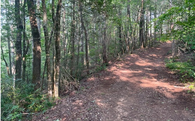 12180 Beaver Dam Road Murphy, NC 28906 - Photo 2 of 24 Additional View