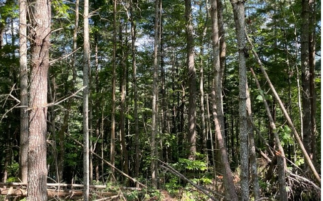 12180 Beaver Dam Road Murphy, NC 28906 - Photo 24 of 24 Additional View