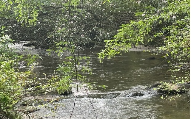12180 Beaver Dam Road Murphy, NC 28906 - Photo 6 of 24 Additional View
