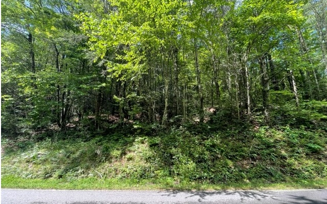 12180 Beaver Dam Road Murphy, NC 28906 - Photo 7 of 24 Additional View