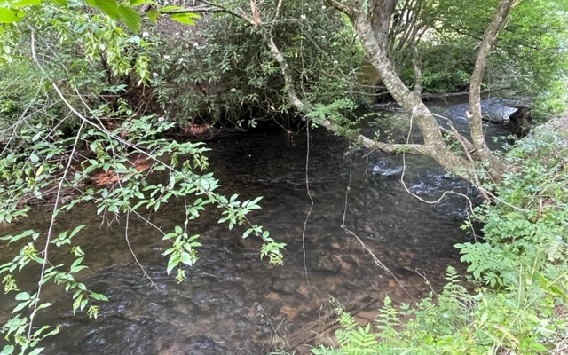 12180 Beaver Dam Road Murphy, NC 28906 - Photo 8 of 24 Additional View