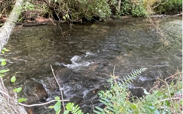 12180 Beaver Dam Road Murphy, NC 28906 - Photo 10 of 24 Additional View