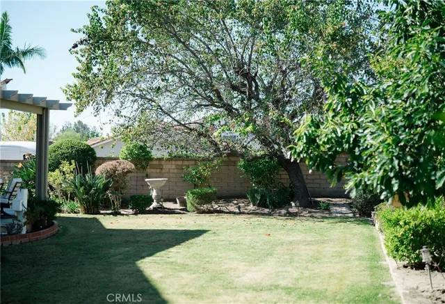 a view of a backyard with large trees