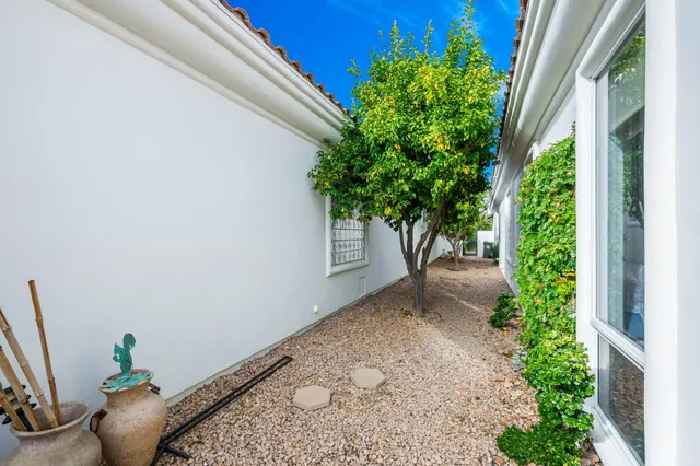 a view of a yard with potted plants