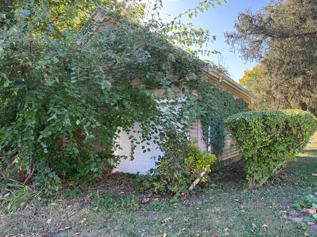 a view of a garden with plants and large trees