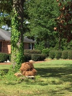 450 Hi-Cotton Lane Springfield, SC 29146 - Photo 34 of 41
