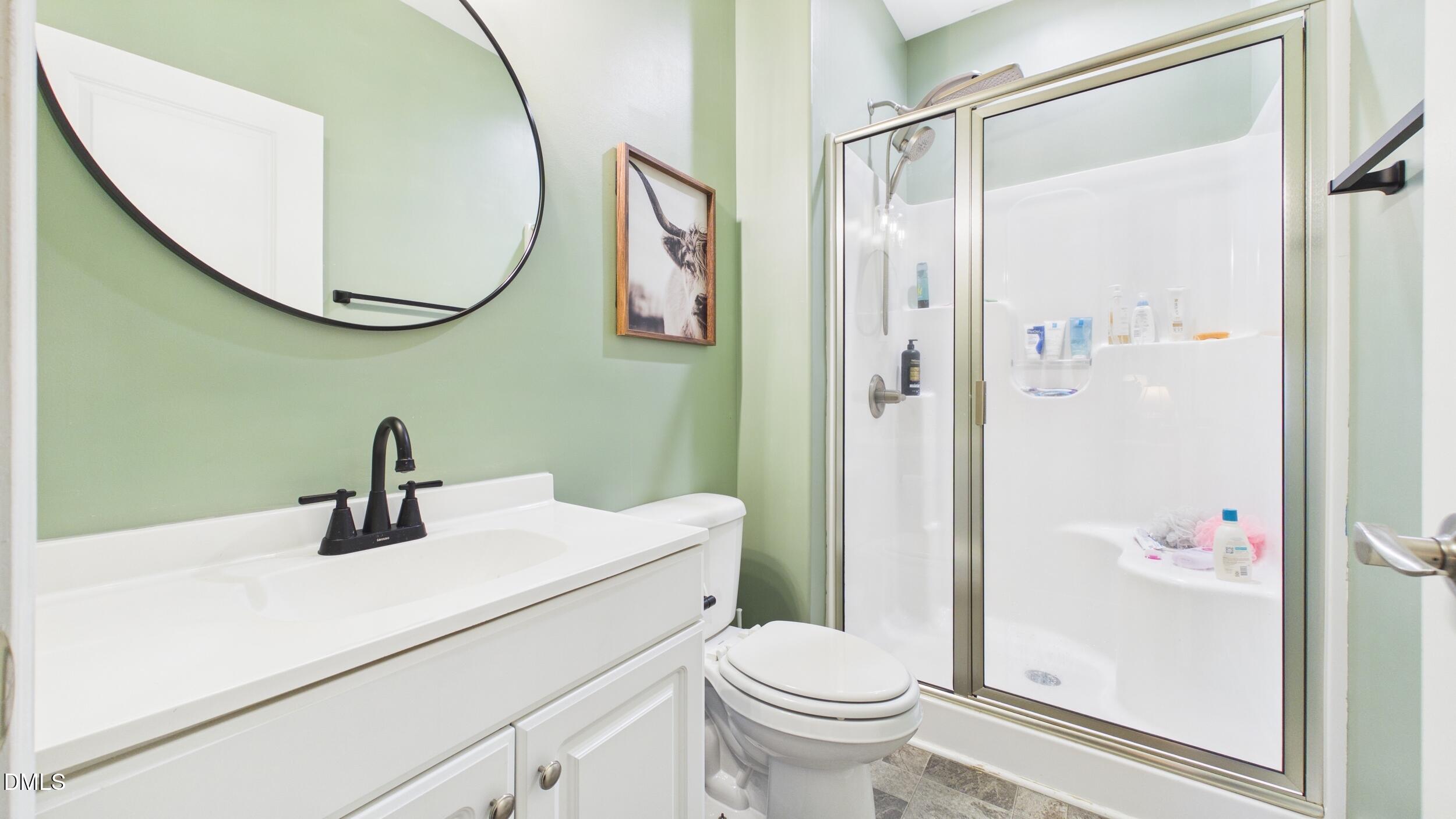5930 Old 421 Road Liberty, NC 27298 - Photo 19 of 42 a bathroom with a sink a toilet and a mirror