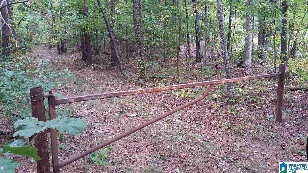 793 County Road Centre, AL 35960 - Photo 32 of 32