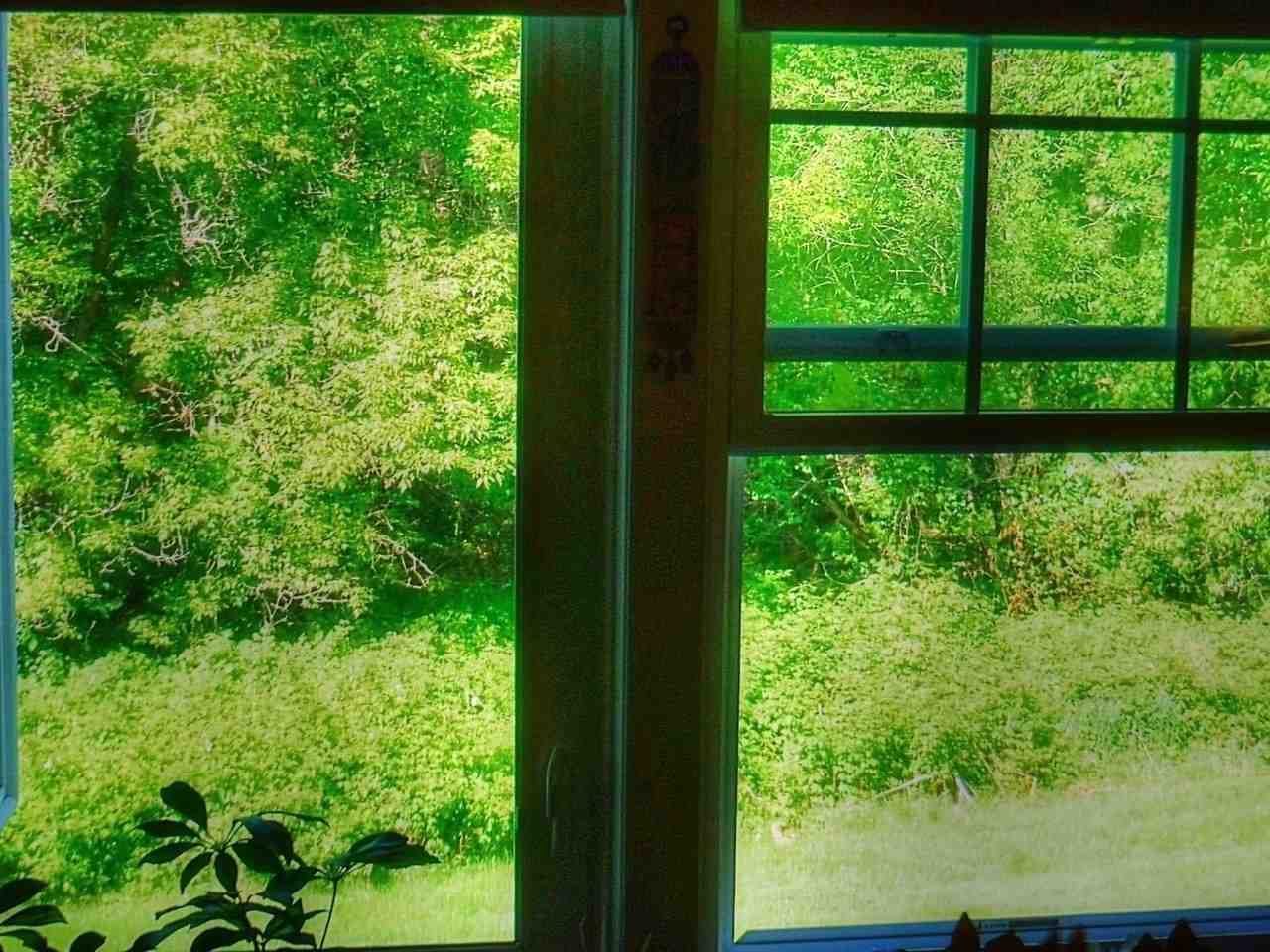 34 Brickyard Road, Unit 22 Essex Junction, VT 05452 - Photo 16 of 23 Gallery Image 16