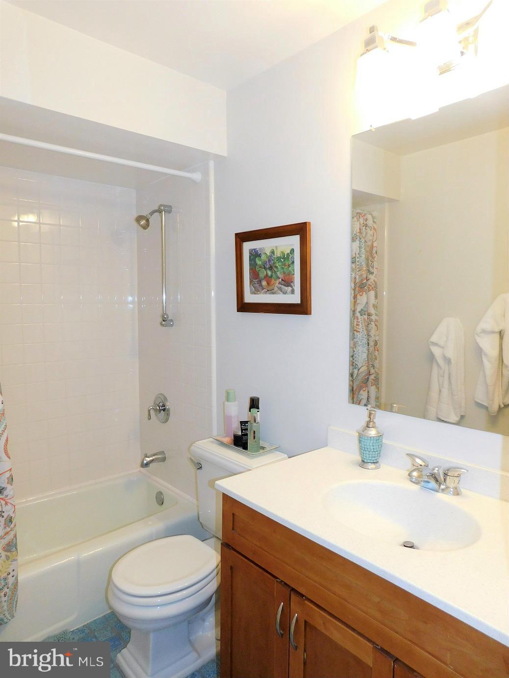 2352 Paddock Lane Reston, VA 20191 - Photo 17 of 30 Hall Bath